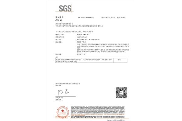 比挺-SGS-REACH检测-中文报告