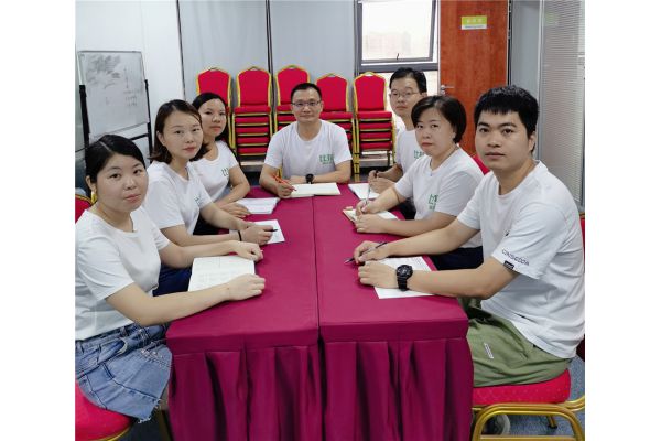 比挺鼻梁条销售分析会议